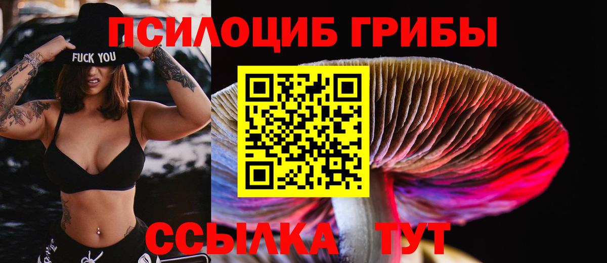 Галлюциногенные грибы мицелий Владивосток